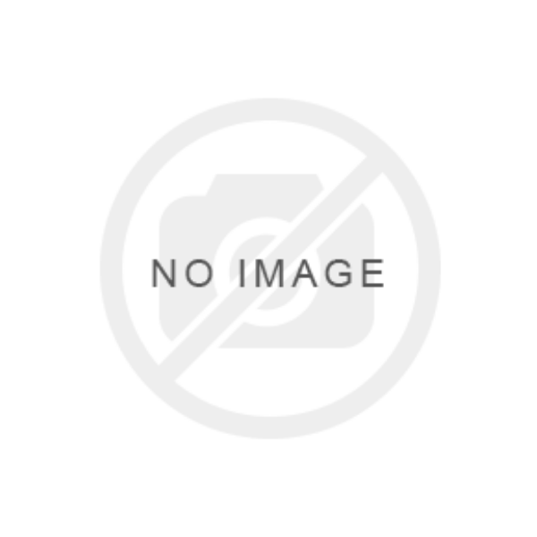 Picture of SRAM ZIPP Rear Wheel (Catrike 700)